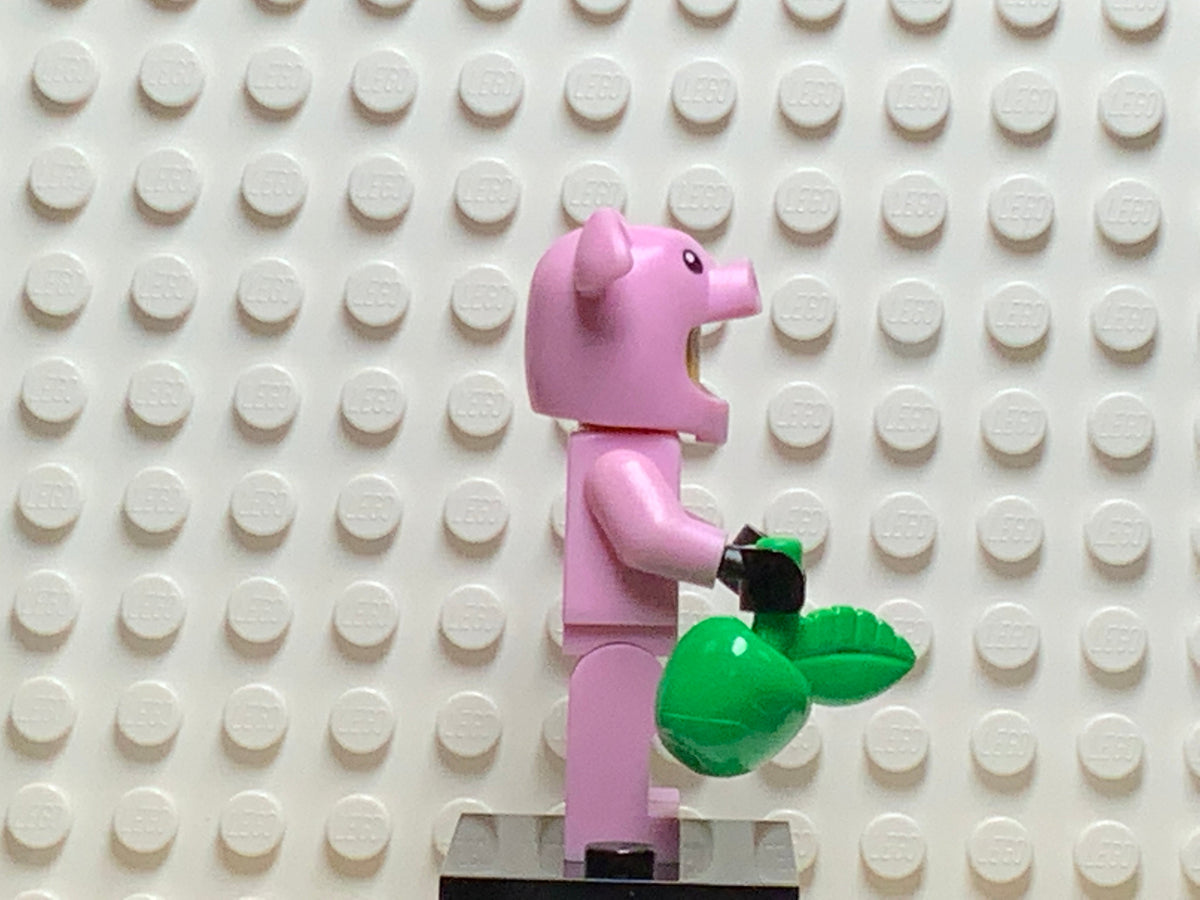 Piggy Guy, col12-14