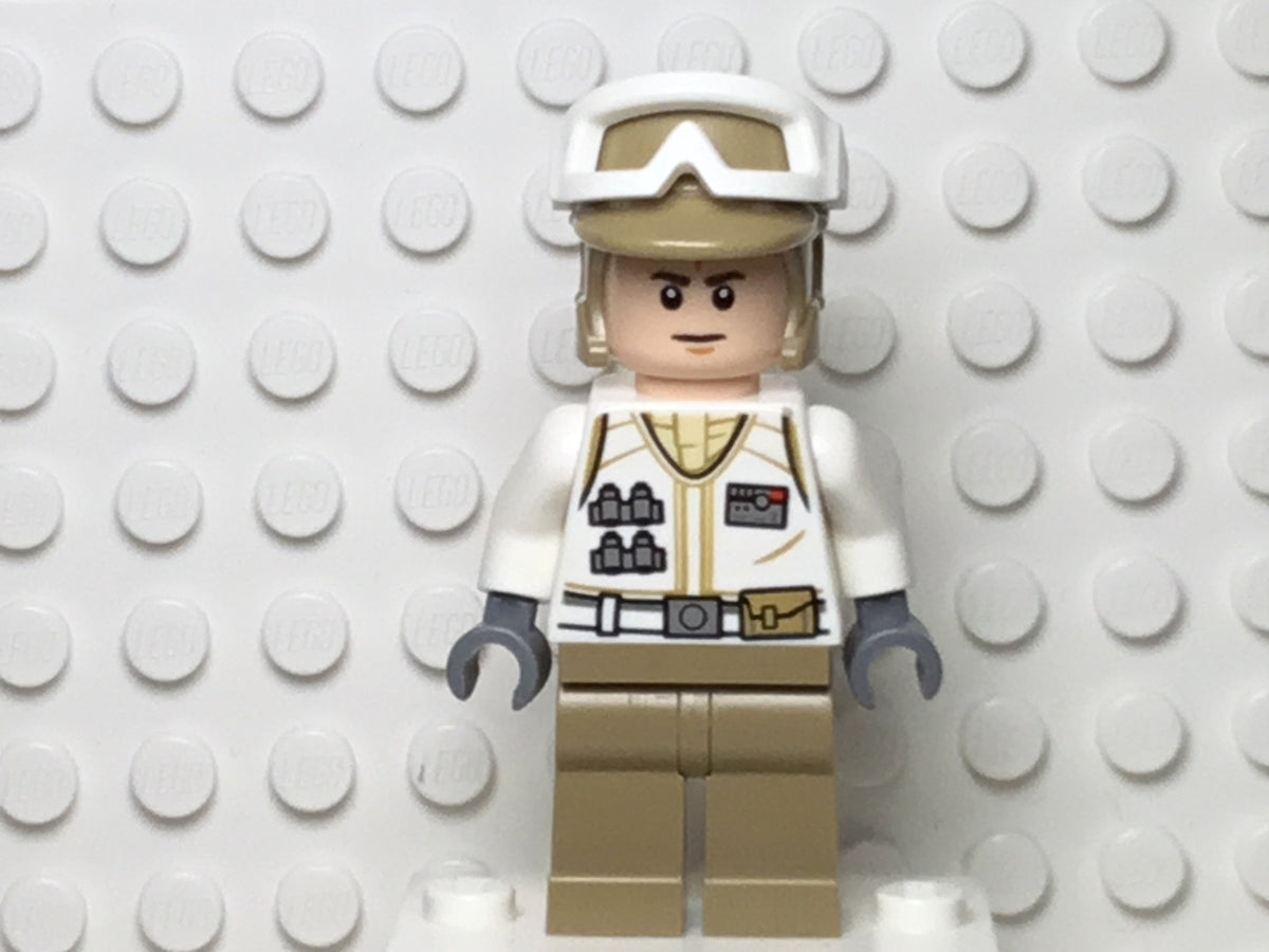 Hoth Rebel Trooper, sw1015