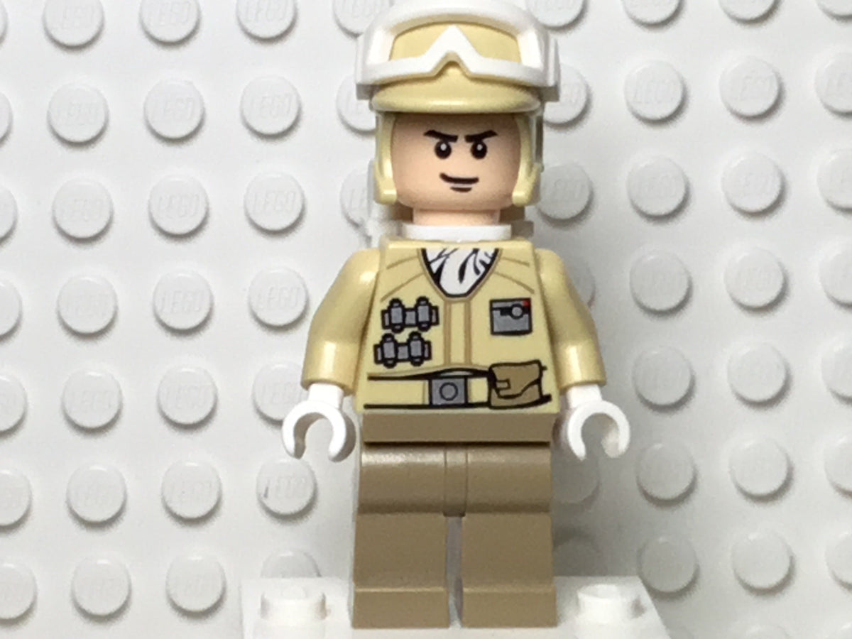 Hoth Rebel Trooper, sw0291